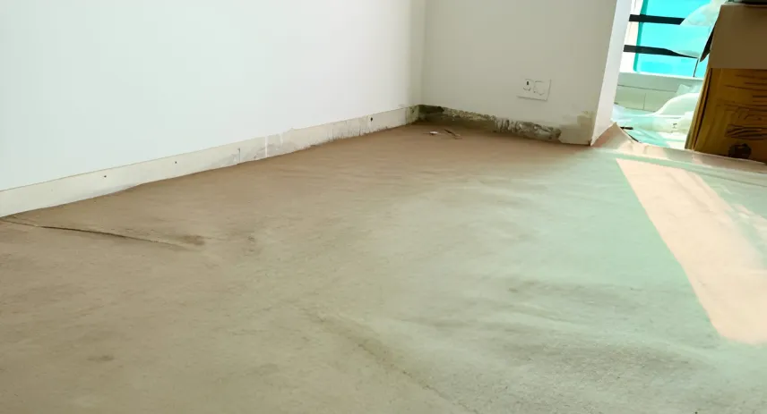 Best ways to clean rug at home - 